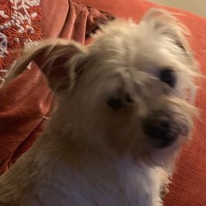 Meet your Posher, Ash